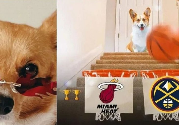 Simpatični pas predvidio ko osvaja NBA ligu, do sada je uglavnom sve pogodio