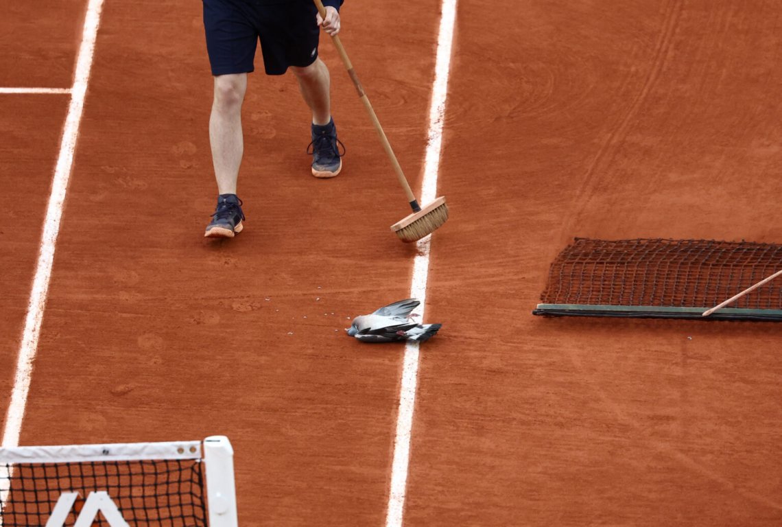 1717276976-2024-05-31t165944z-1252669188-up1ek5v1b7ibj-rtrmadp-3-tennis-frenchopen-1536x1034
