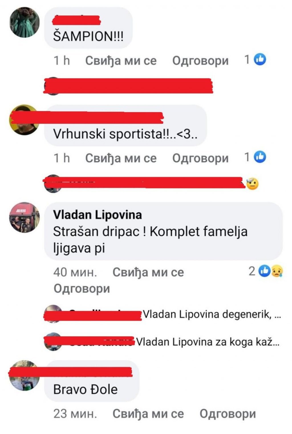 3923919-lipovina-ff