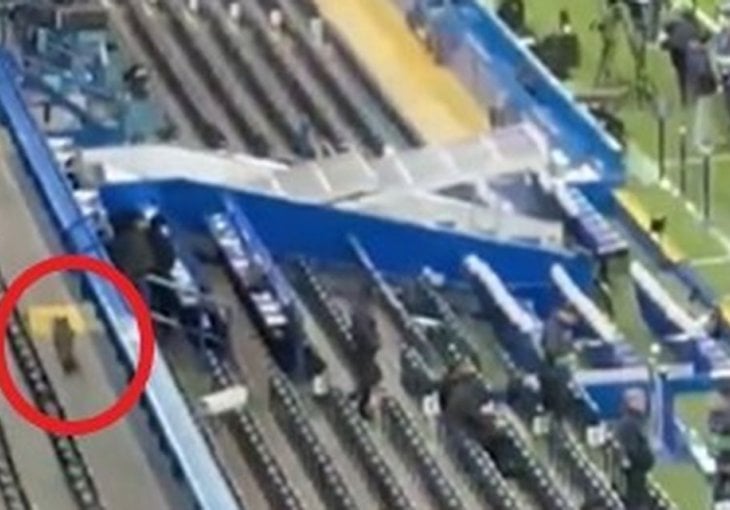 Lisica šetala Stamford Bridžom prije meča Čelsija i Barselone