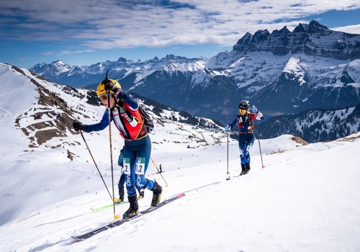 Šta je skimo, sport koji će sutra debitovati na Zimskim olimpijskim igrama?