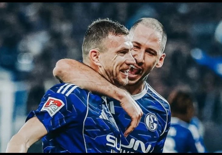 Detalj iz VIP lože stadiona Schalkea pokazuje ko je i šta je Edin Džeko!