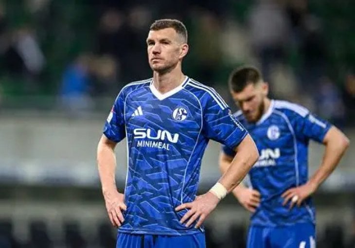 Njemački mediji otkrili cifre: Koliku platu Džeko prima u Schalkeu?